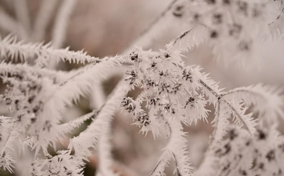 Україну накриє накриє потужний антициклон: як зміниться погода
