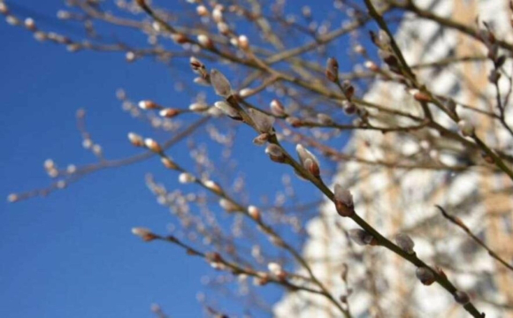 На Волині зафіксували аномалію вперше з 1947 року