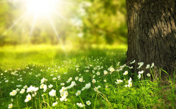 На Волині пригріє до +23 градусів: відомі дати