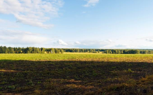 Власників землі в Україні будуть штрафувати на 1700 гривень