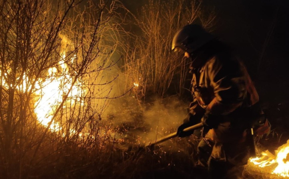 Через людську недбалість на Волині спалахнули пожежі: вигоріло понад 2 гектари
