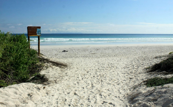 На пляжі знайшли людські голови, підвішені на мотузках