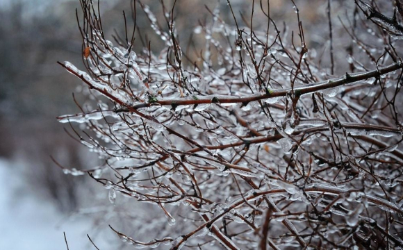 В Україні прогнозують похолодання та мокрий сніг