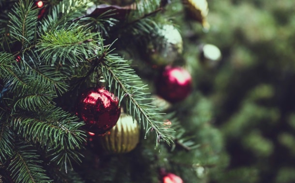 Коли потрібно прибрати новорічну ялинку: названо точну дату