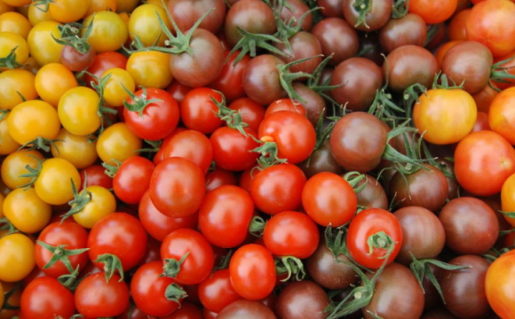 Стало відомо, який продукт допомагає захиститися від раку