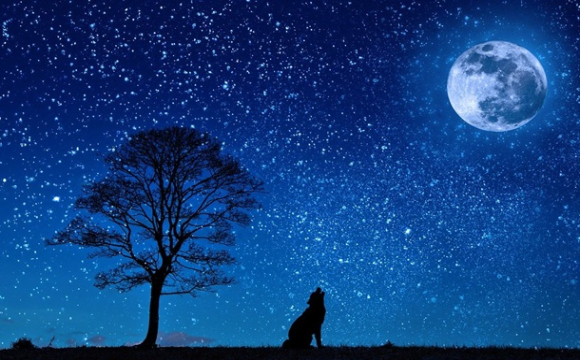 Шалене кохання або фінансові негаразди: гороскоп на 22 грудня для всіх знаків Зодіаку