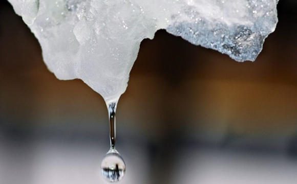 Коли прийде весна: п’ять дат наприкінці січня, на які варто звернути увагу