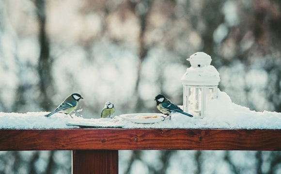 Яке свято відзначають українці 10 січня: народні прикмети і традиції
