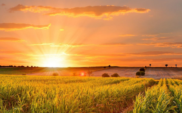 Спека повертається в Україну: відомі дати 