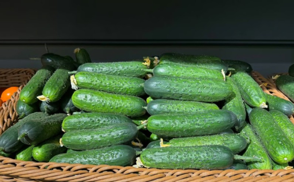 Ціни на популярний овоч падають: що відбувається на ринку