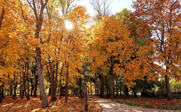 Які три речі заборонено робити 6 жовтня