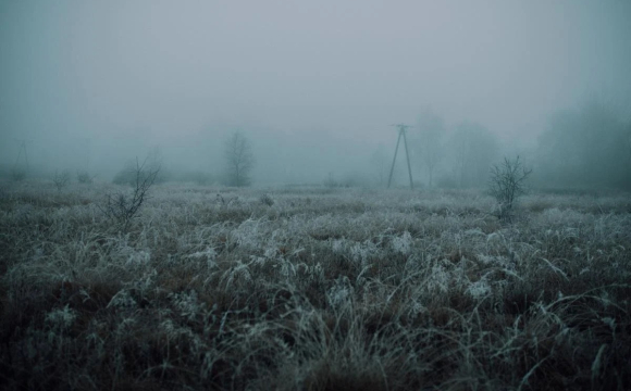 У Волинській та Рівненській областях очікуються сильні заморозки: небезпечні дати