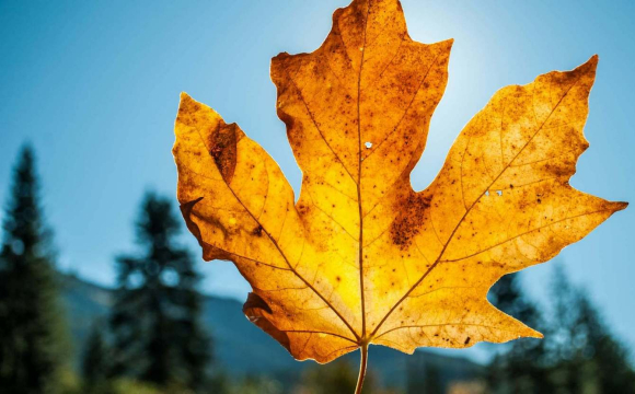 Українців шокували прогнозом погоди на вересень: чого чекати