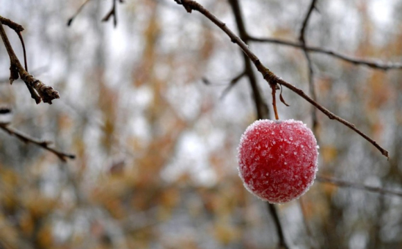 У православне свято 11 листопада дотримуються особливої традиції