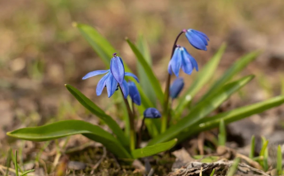 Погода в Україні різко зміниться
