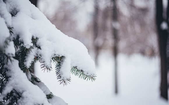 Українців попереджають про різкі перепади температури на вихідних