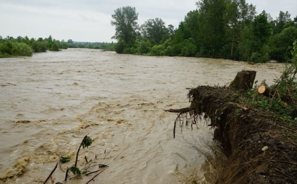 Українцям показали наслідки негоди в Карпатах: закликали утриматися від походів