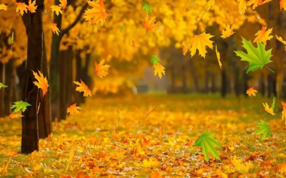 Астролог назвала чотири знаки Зодіаку, для який листопад буде щасливим