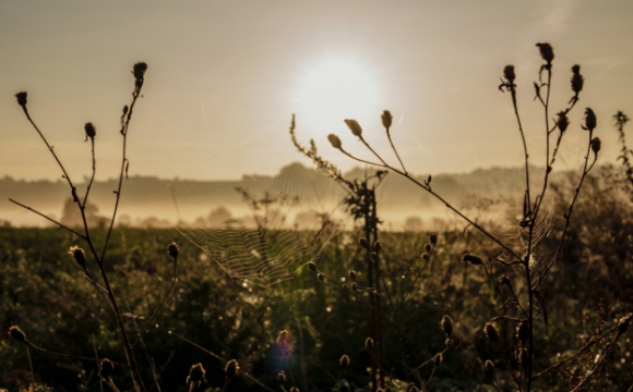 Температура на Волині опуститься до 10 градусів: названі дати