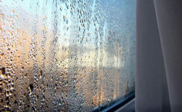 Експерти рекомендують ставити миски з сіллю на вікна: у чому причина