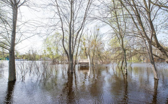 В Україні різко піднімається рівень води через потепління: які області в зоні ризику