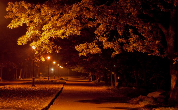 Шукаємо підказки зірок: гороскоп на 9 листопада для всіх знаків Зодіаку