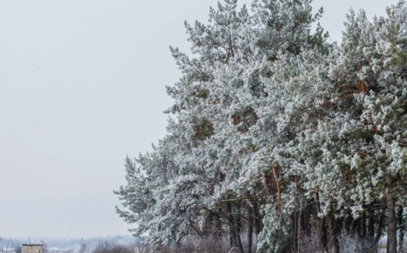 Що зміниться у вашому житті: гороскоп на 2 лютого для всіх знаків Зодіаку