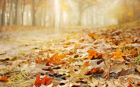 Яке свято відзначають українці 19 жовтня: народні прикмети і традиції