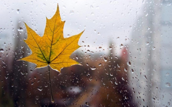 В Україні температура знизиться до +5 градусів: де буде найхолодніше