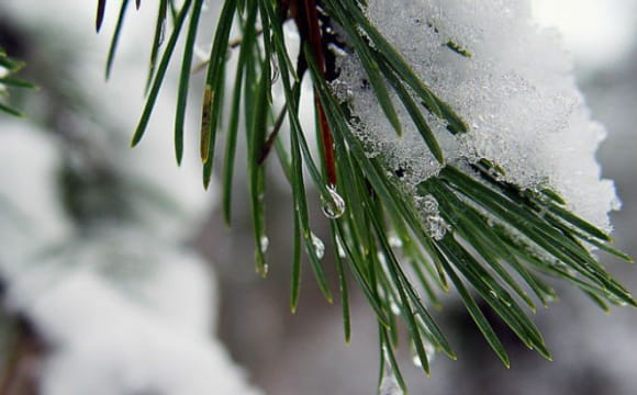 В Україні різко зміниться погода: прогноз на вихідні