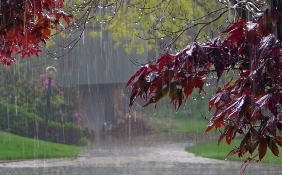 Україну накриє нова хвиля дощів: відомі дати