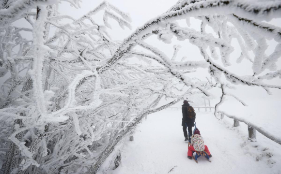 Коли на заході України випаде сніг