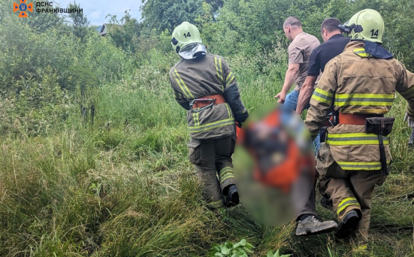 У селі під час зрізання дерева чоловіка вбило струмом