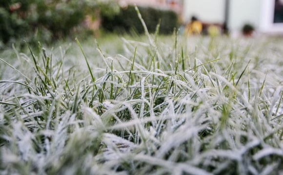 В Україні вдарять сильні заморозки: назвали дати