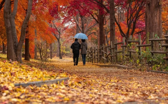 Яке свято відзначають українці 27 вересня: народні прикмети і традиції