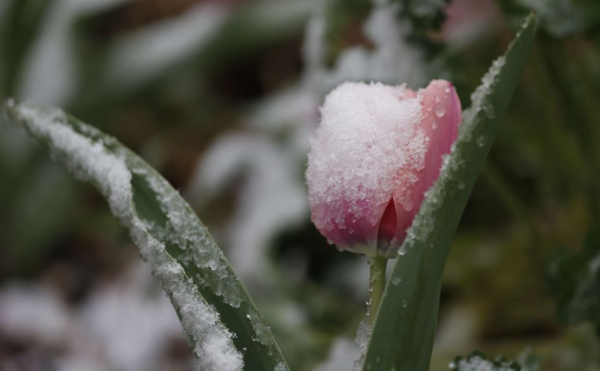 В Україні різко стане холодніше: коли саме