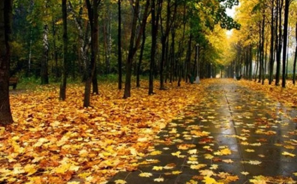 Чи буде ця осінь холоднішою, ніж минулого року
