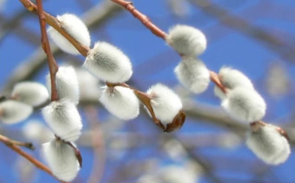 Нові шанси, емоції та важливі розмови: гороскоп на 7 квітня для всіх знаків Зодіаку