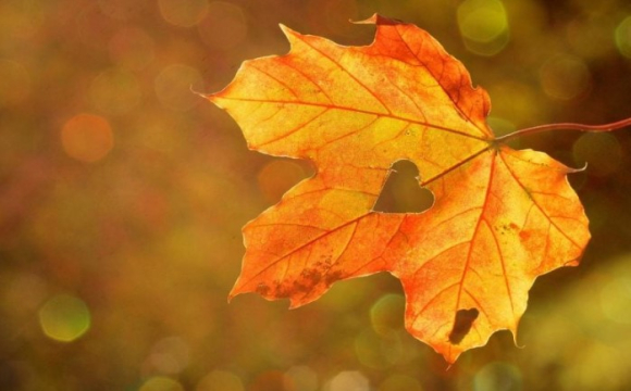 Яке свято відзначають українці 12 жовтня: народні прикмети і традиції