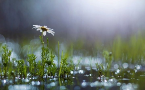 Температура в Україні різко впаде до +8 градусів