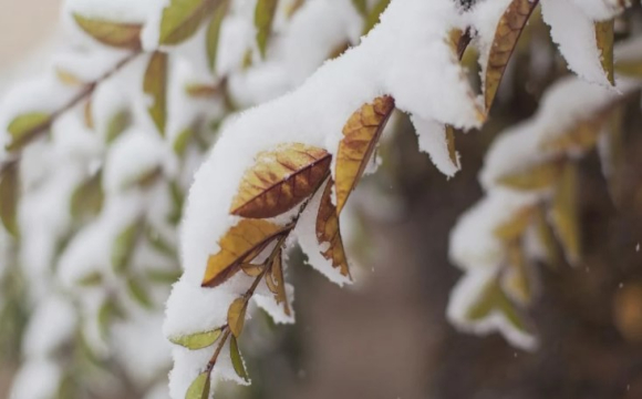 Можливості попереду: гороскоп на 8 грудня для всіх знаків Зодіаку