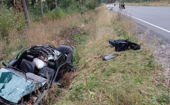 На трасі 46-річний водій авто збив корову і загинув