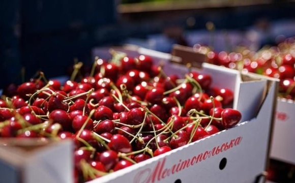 Ціни на популярну ягоду в Україні найвищі за останні 10 років