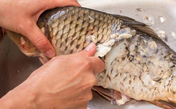 Українка знайшли у рибі неочікуваний скабр: історія набирає обертів