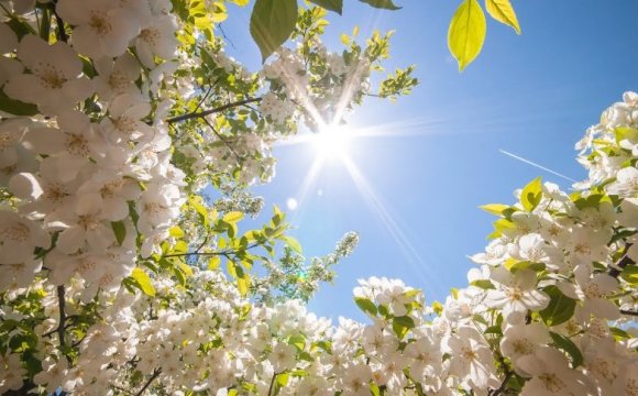 Якою буде погода у березні: синоптики дали прогноз