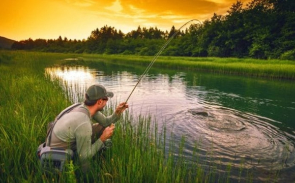 В Україні скасували важливу заборону для рибалок: що змінилося