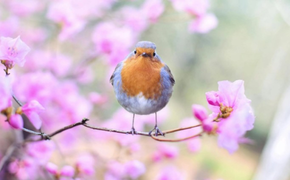 Астрологи назвали знаки зодіаку, для яких 7 березня стане особливим днем