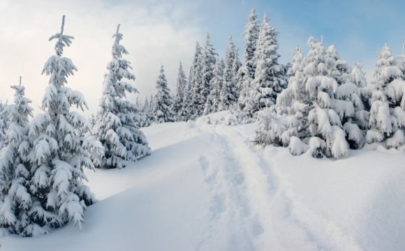 Зима в Україні може зникнути до 2040 року: у чому причина   