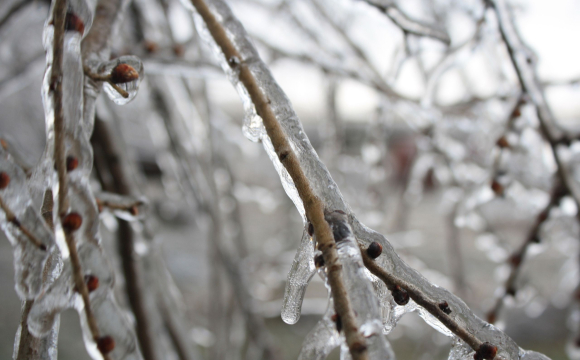 В Україні вдарить 18-градусний мороз: коли саме