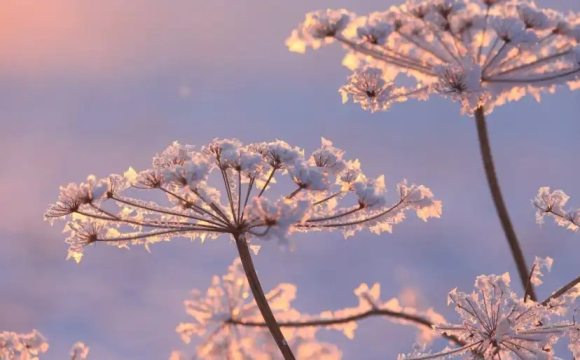 Українців попередили про аномальне посилення морозів